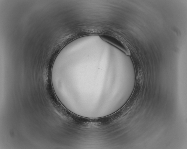 X0000112890255200909111509