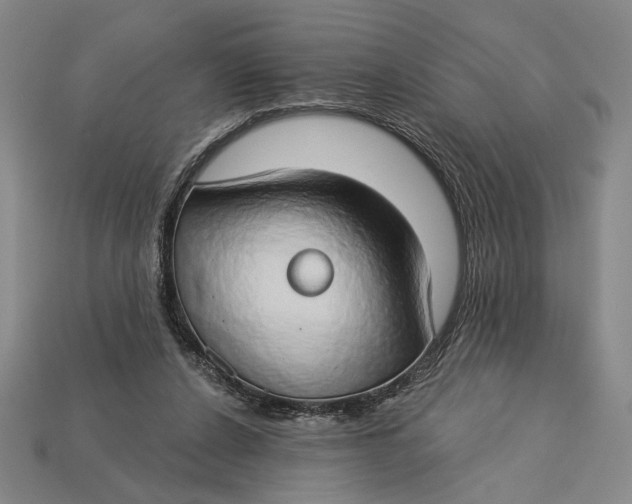 X0000112890256200909111509