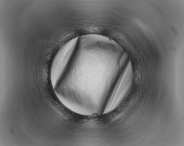 X0000112890259200909111510