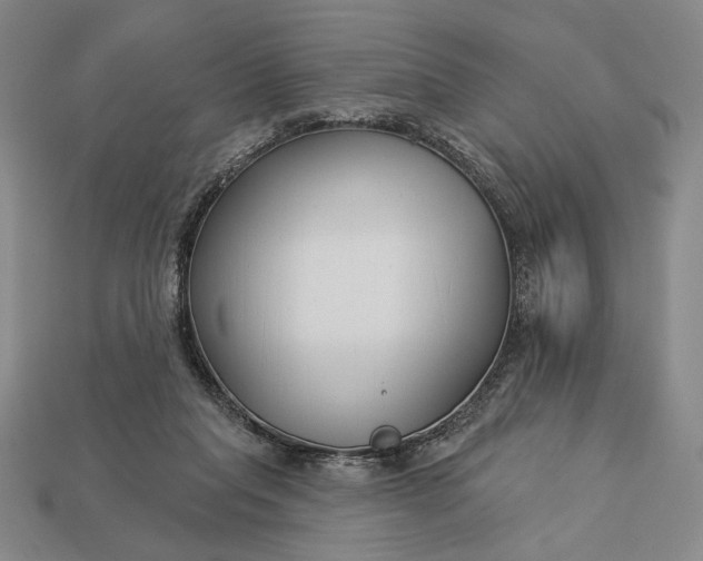 X0000112890261200909111510