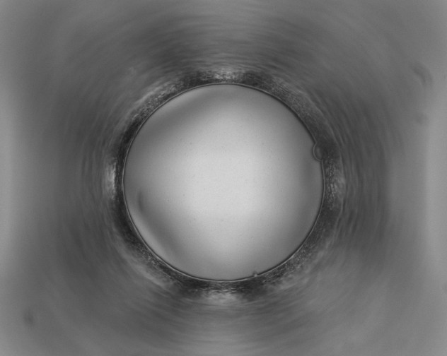 X0000112890262200909111510