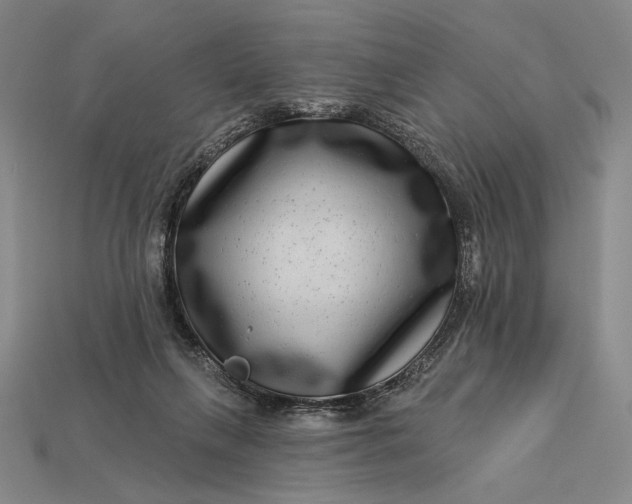 X0000112890263200909111510