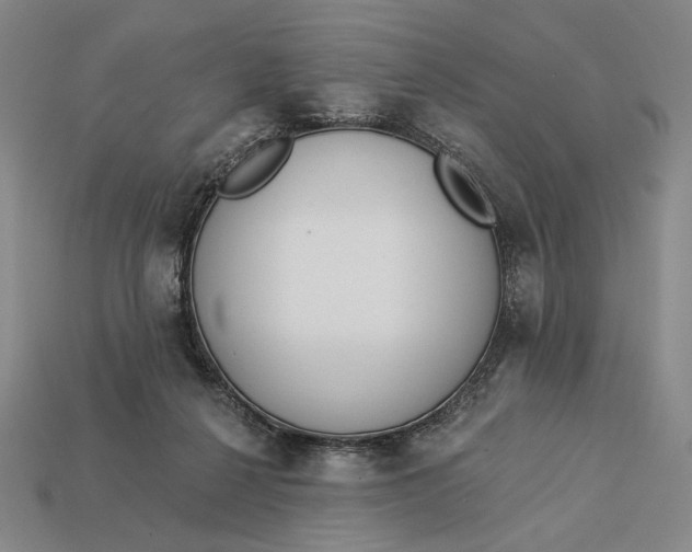 X0000112890264200909111510