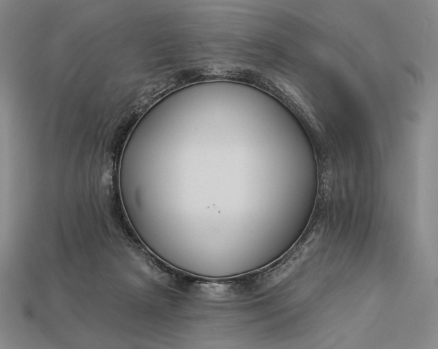 X0000112890265200909111510