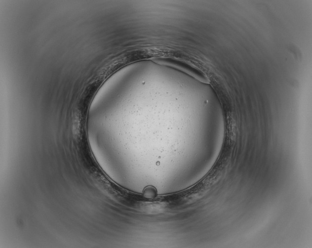 X0000112890266200909111510