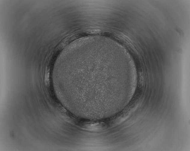 X0000112890267200909111510