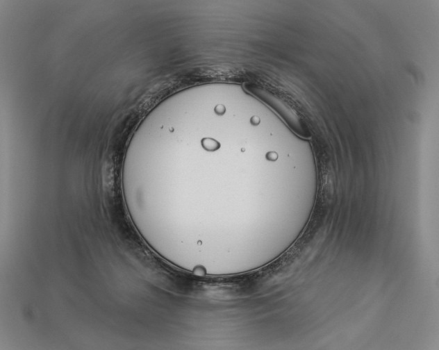 X0000112890268200909111510
