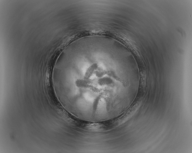 X0000112890269200909111510