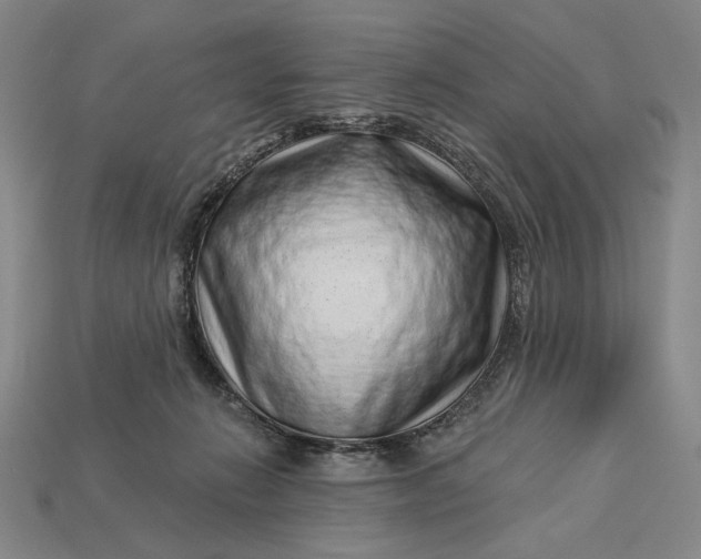 X0000112890270200909111510