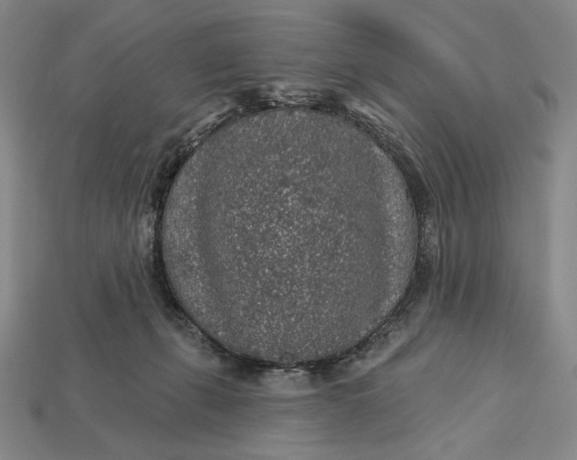 X0000112890271200909111510