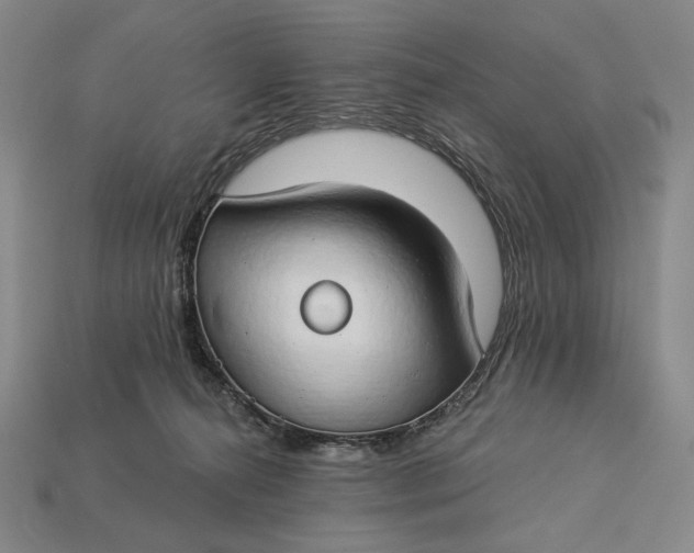 X0000112890272200909111510