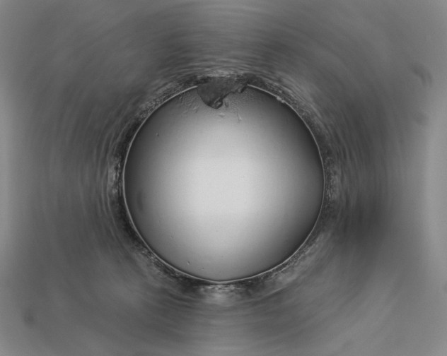 X0000112890273200909111510