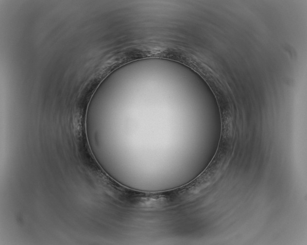 X0000112890274200909111510