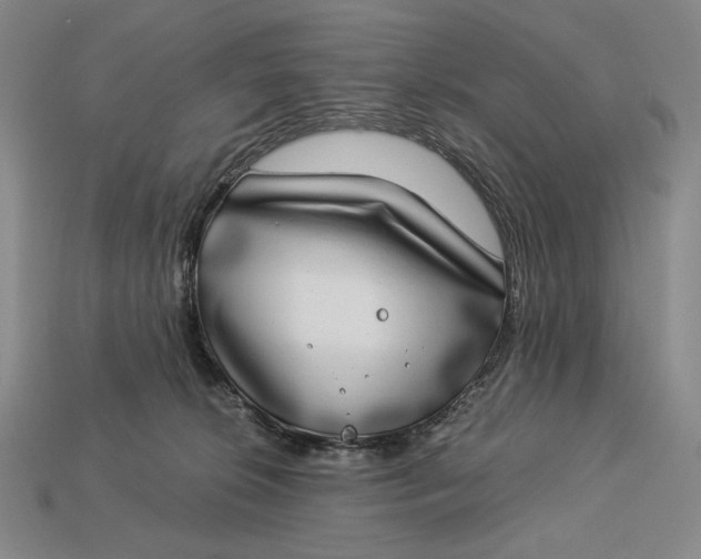 X0000112890276200909111510