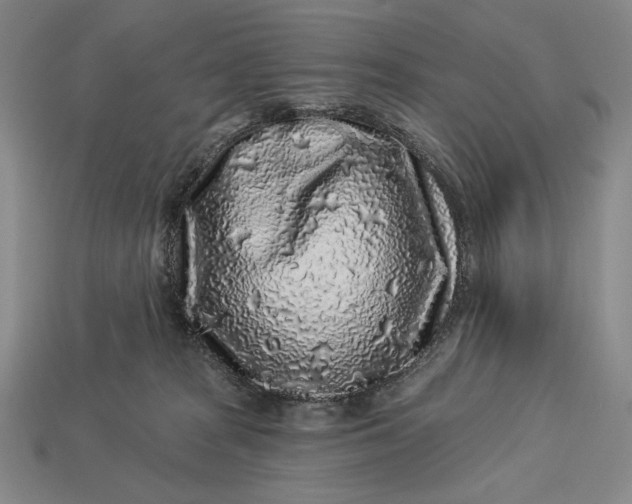 X0000112890277200909111510
