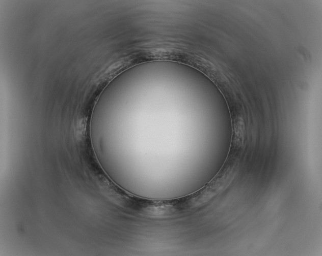 X0000112890278200909111510