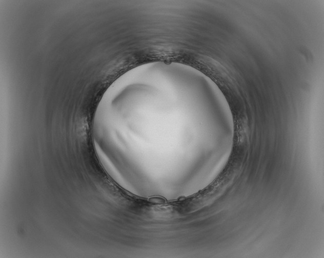 X0000112890279200909111510