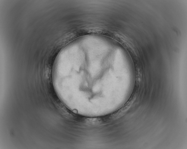 X0000112890281200909111510