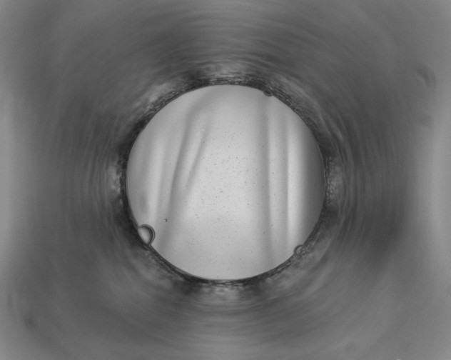X0000112890282200909111510