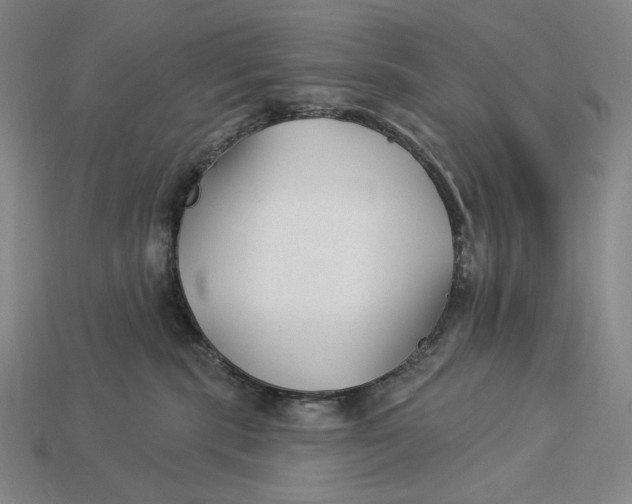 X0000112890283200909111510
