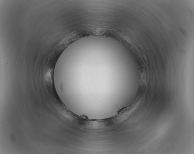 X0000112890286200909111510