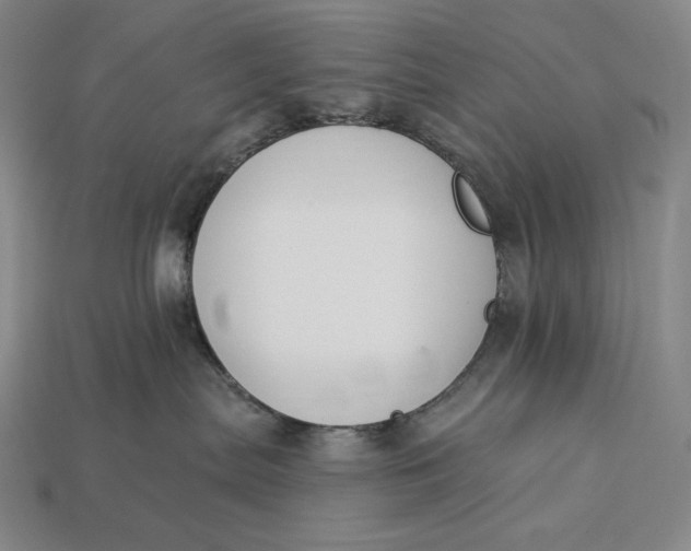 X0000112890287200909111510