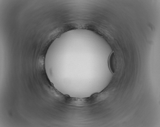 X0000112890288200909111510