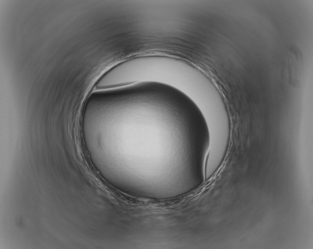 X0000112890289200909111509