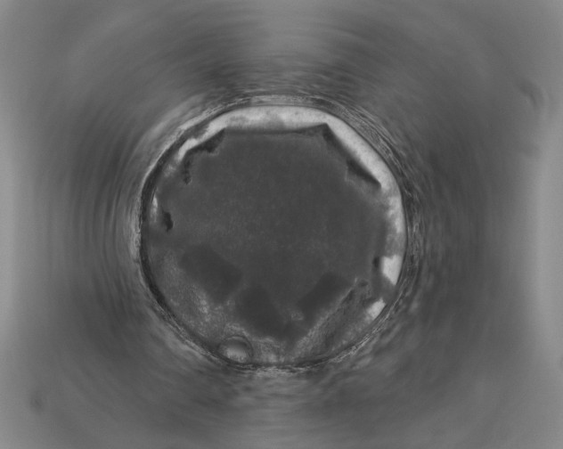 X0000112890290200909111509