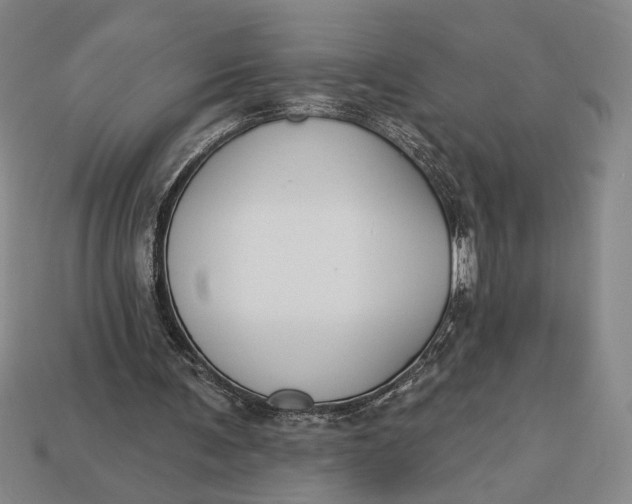 X0000112890291200909111509