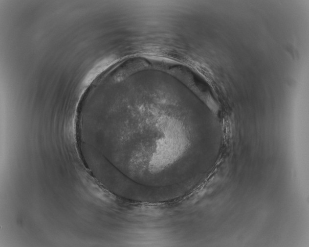 X0000112890292200909111509