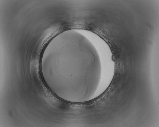 X0000112890293200909111509