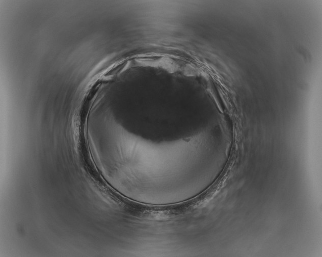 X0000112890295200909111509