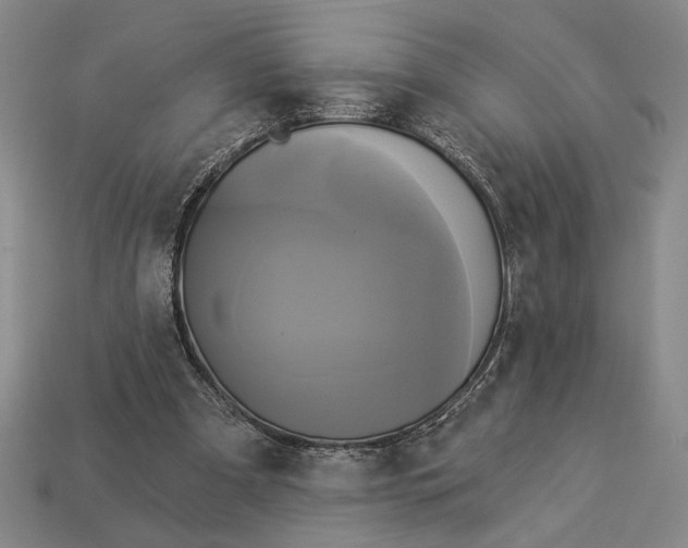 X0000112890297200909111509