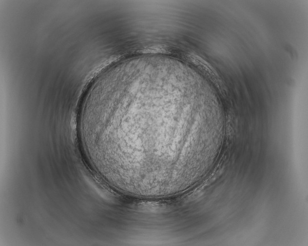 X0000112890298200909111509