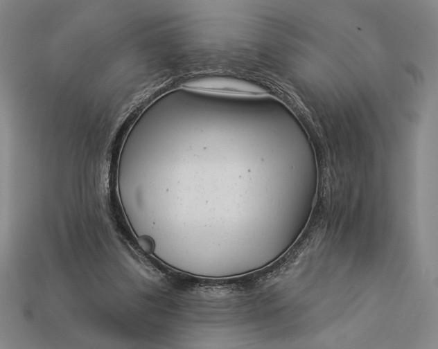 X0000112890299200909111509