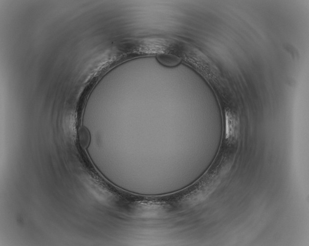 X0000112890300200909111509