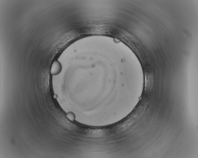 X0000112890301200909111509