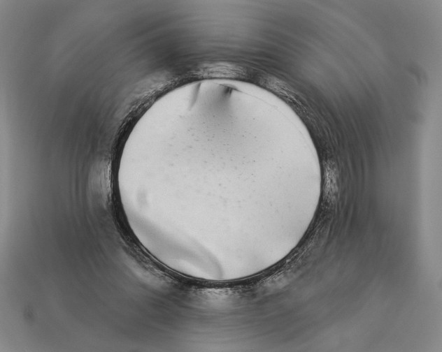 X0000112890302200909111509