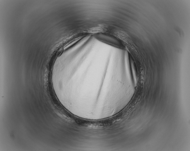 X0000112890303200909111509
