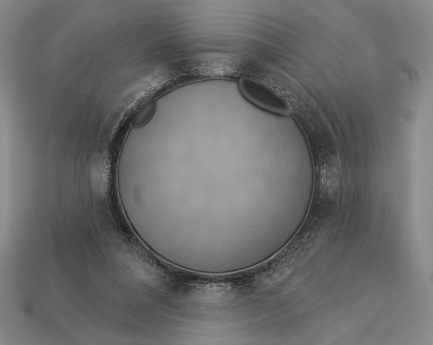X0000112890304200909111509