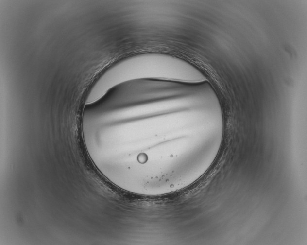 X0000112890305200909111509