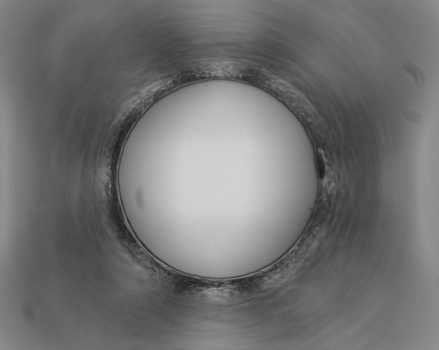 X0000112890306200909111509