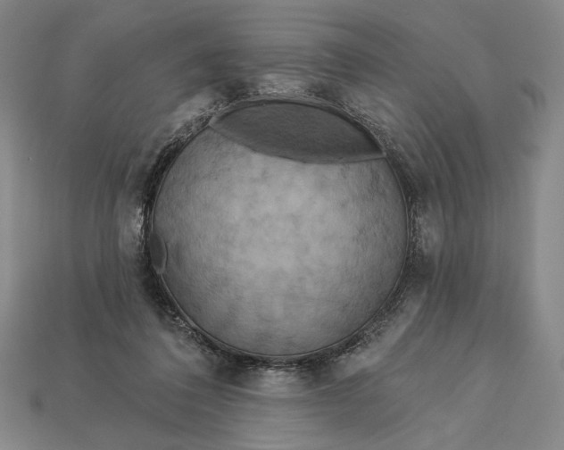 X0000112890308200909111509