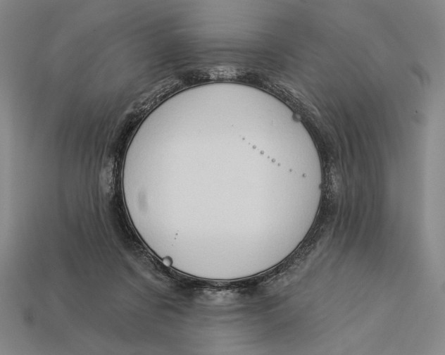 X0000112890311200909111509