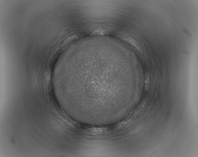 X0000112890314200909111509