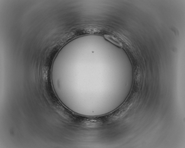X0000112890315200909111509