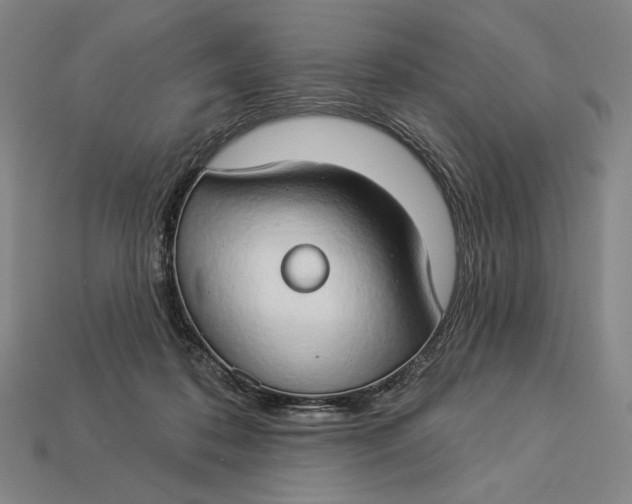 X0000112890316200909111509