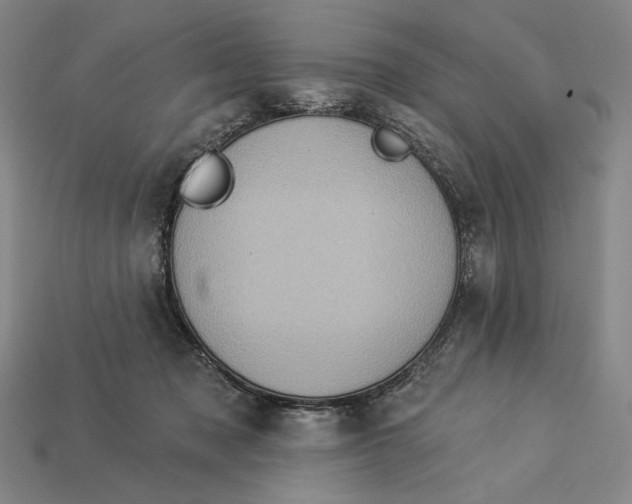X0000112890317200909111509