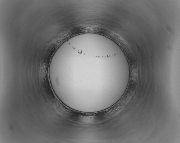X0000112890318200909111509
